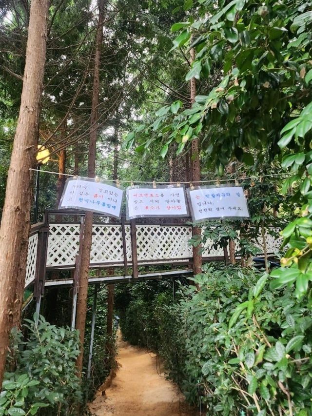 나폴리농원
