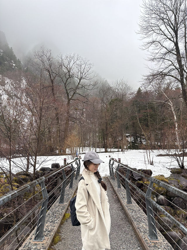 🇯🇵 飛驒高山一定要一起去北阿爾卑斯山纜車🚡