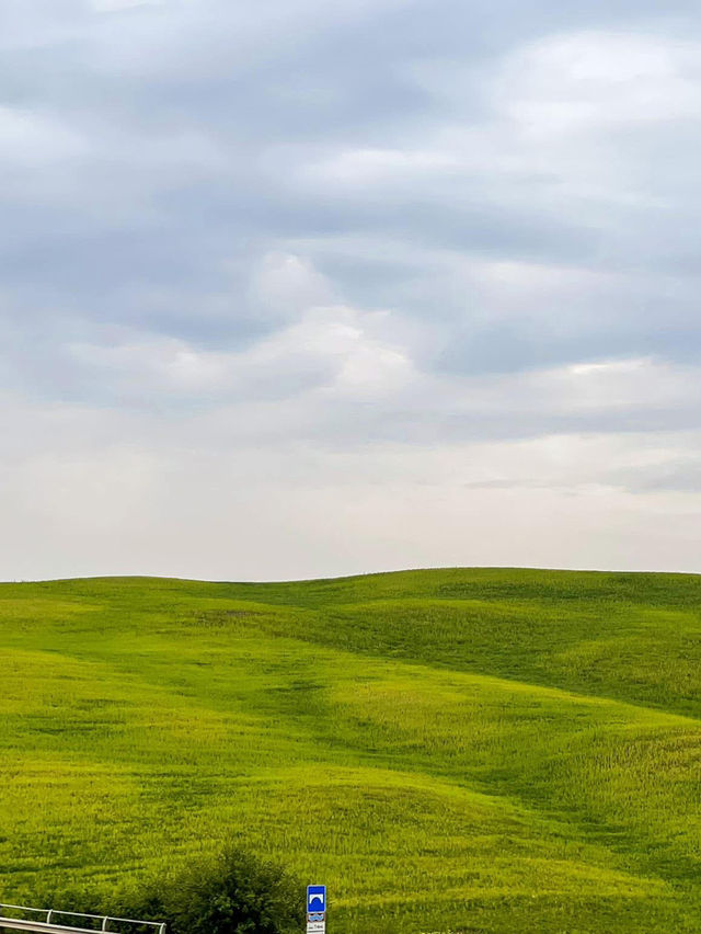 สัมผัสทุ่งหญ้าเขียวที่ ทัสคานี (Tuscany)