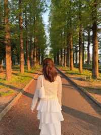 大阪•緑地公園