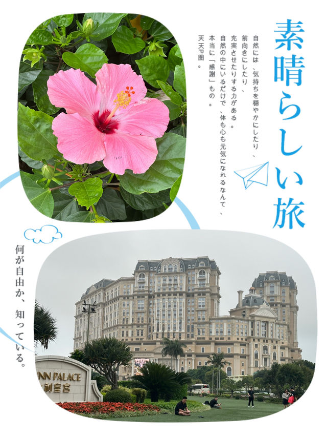 超巨型人造大草皮～享受奢華瞬間