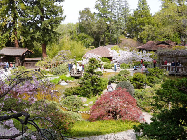 Hakone Gardens: A Springtime Escape in Saratoga
