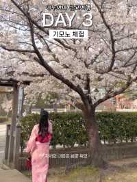 나고야 여행 3일차 일정 공유(이누야마 포함)