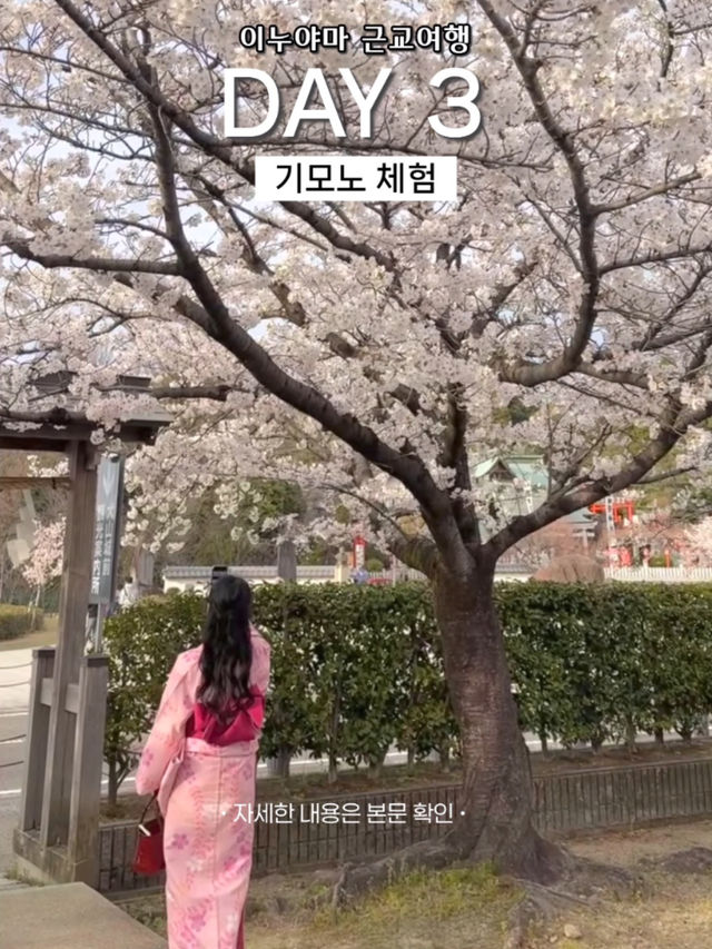 나고야 여행 3일차 일정 공유(이누야마 포함)