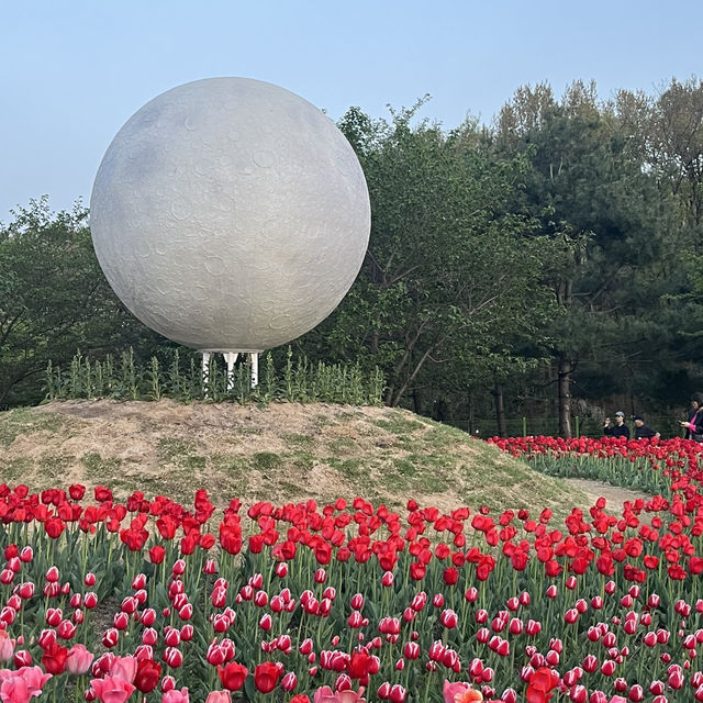 매년 방문해줘야하는 청주 꽃여행 문암생태공원 🌷