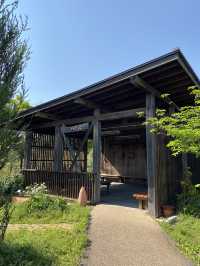 【季節の花を愛でる旅】フラワーパーク