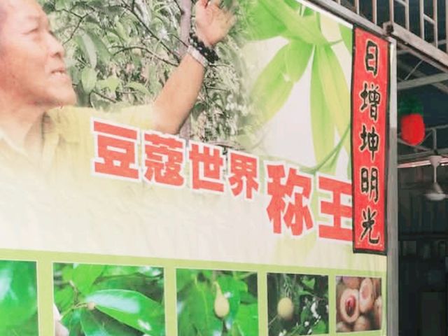 Nutmeg Factory