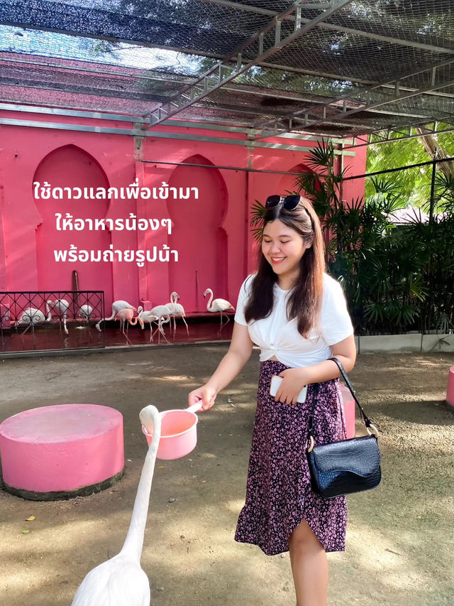 🐫 พาเที่ยวสวนอูฐ ชะอำ สไตล์อินเดียถ่ายรูปสวยมาก!✨