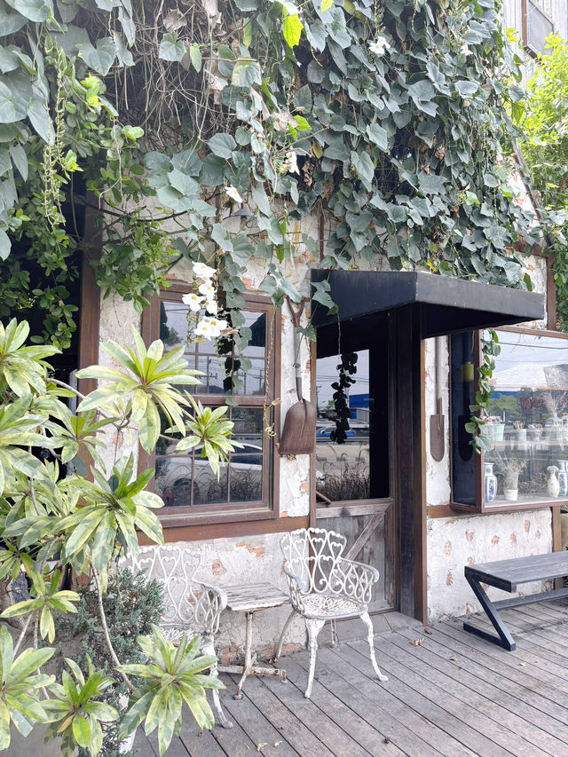 คาเฟ่ที่ปกคลุมไปด้วยต้นไม้ ที่บ้านบึง ชลบุรี