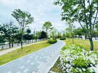 A Park for Everyone: Gungri’s Charm
