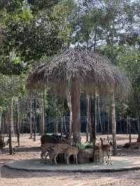 富國島野生動物園