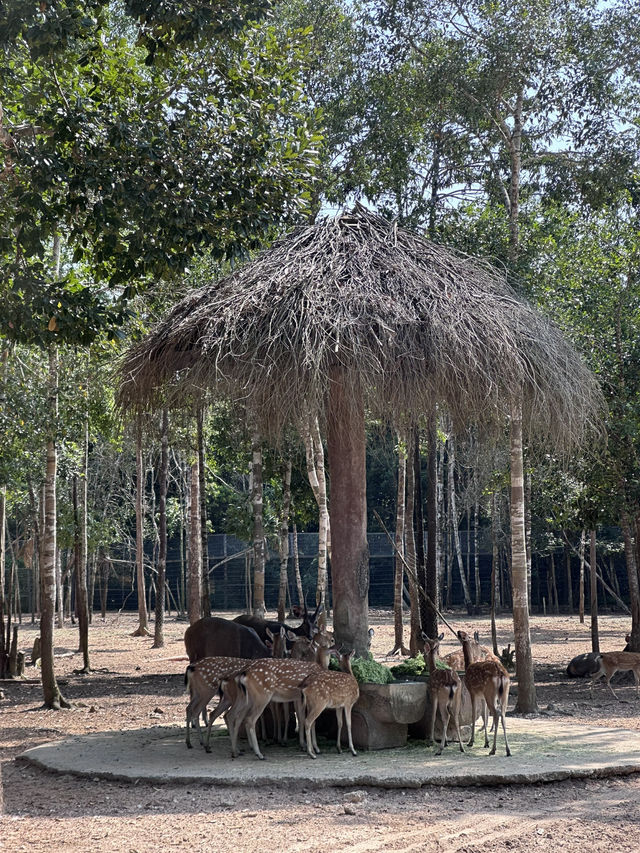 富國島野生動物園