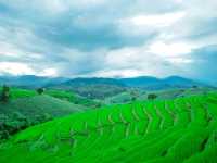 นาขั้นบันไดที่ใหญ่และสวยงามมาก