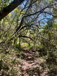 Spring in Jeffreys Bay