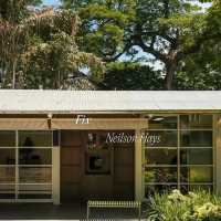 F.l.X Neilson Hays คาเฟ่ที่ผสมรวมกับสมุด
