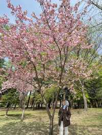 Small Budget Traveling to Seoul, Korea