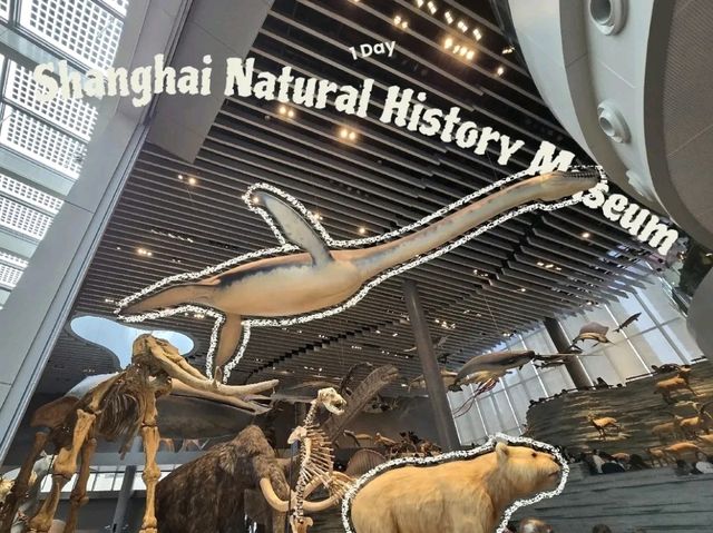 Shanghai Natural History Museum