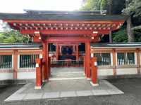 懸崖峭壁秘境傳說「鵜戶神宮」
