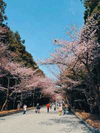 MARUYAMA PARK