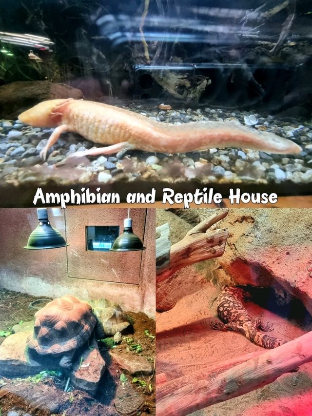 Taipei Zoo 🦓🦒🦚🦡🦘🦛🦙