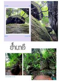 ถ้ำนาคี