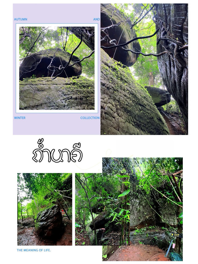 ถ้ำนาคี