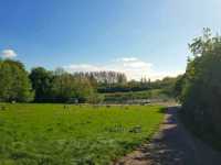 Chorlton Water Park