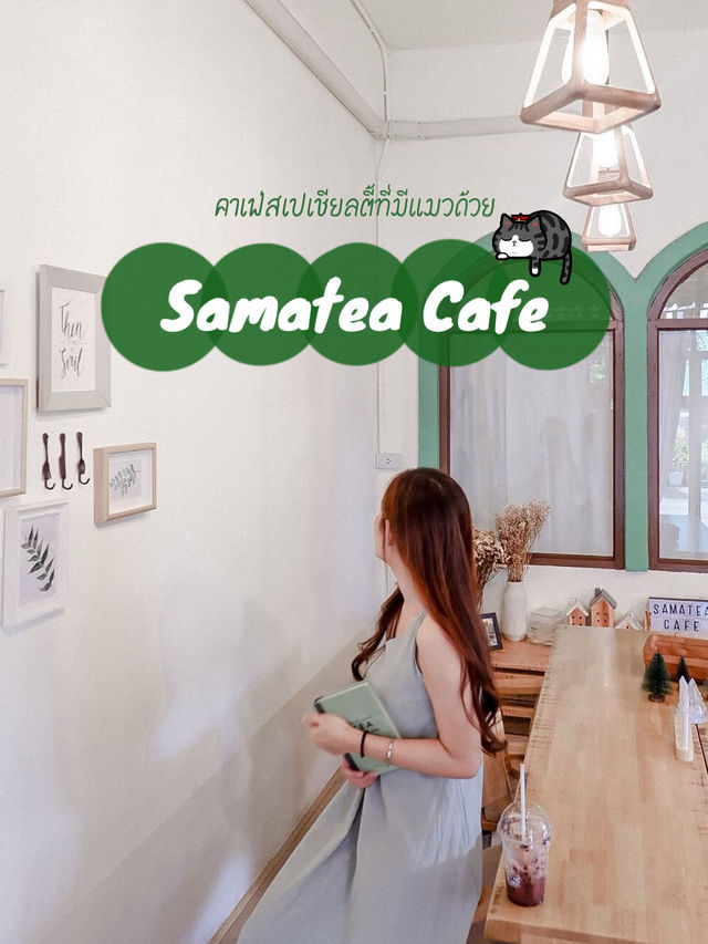 Samatea Cafe - สมาธิ คาเฟ่นี้มีน้องแมว 