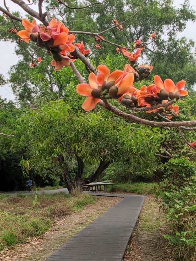 #巴克禮紀念公園-臺南市東區