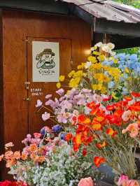 บ้านบ้านคาเฟ่ | มหาสารคาม