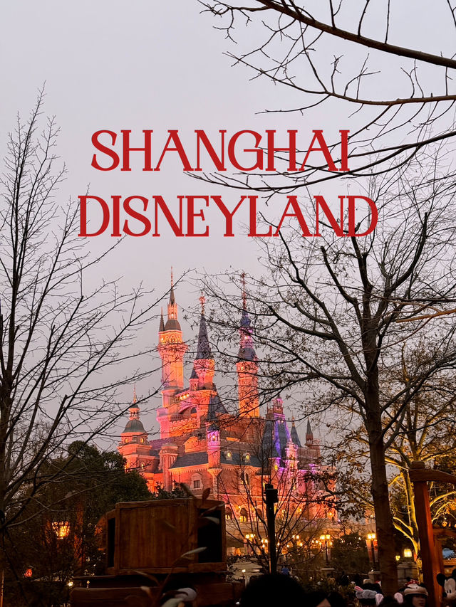 Shanghai Disneyland เซี่ยงไฮ้ดิสนีย์แลนด์ 🇨🇳🏰✨