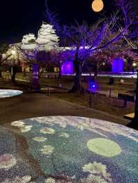 Himeji Castle by Day & Night – Grand, Glowing & Unforgettable
