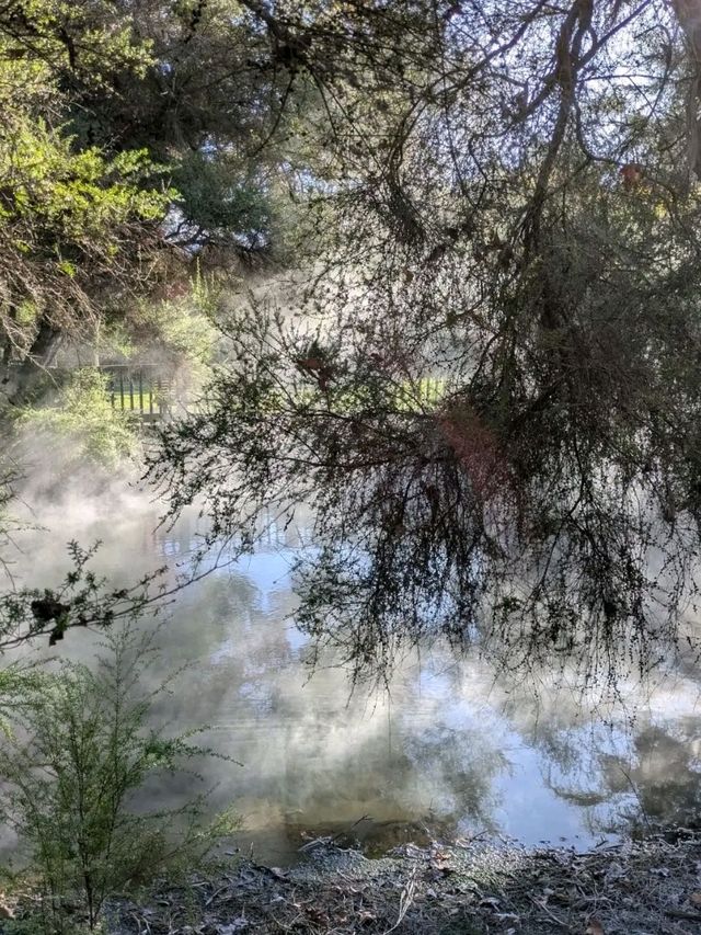 Rotorua – Geothermal Wonder and Māori Heartland