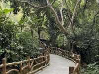Detian Waterfall — A Bucket List Dream Come True