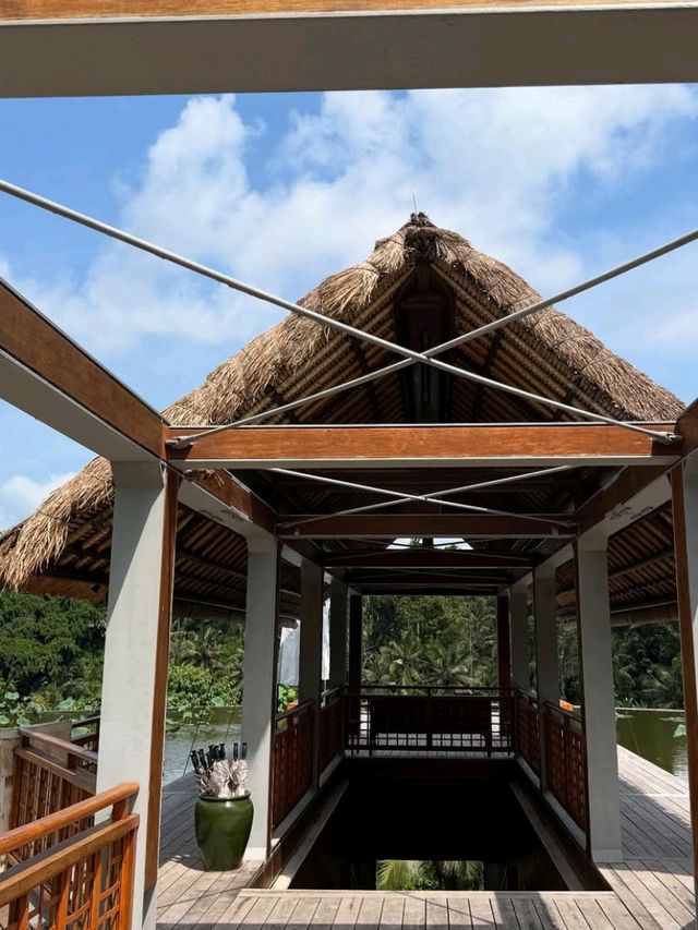 🌞 Pure Joy in the Jungle – Fun & Bliss at Four Seasons Ubud
