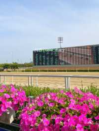 이색여행지 추천해줄게! 경마 관람 어때?☺️🐴🐎