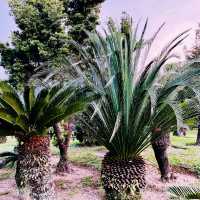  “Weekend Escape to Taman Saujana Hijau: A Lush Green Retreat in Putrajaya”
