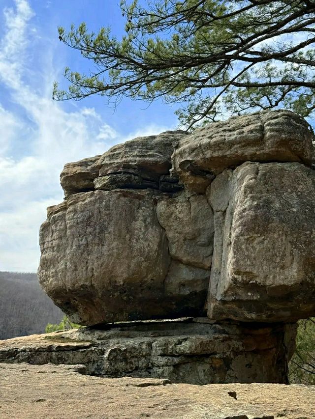 Arkansas Icon: Hiking to Whitaker Point (Hawksbill Crag)