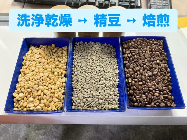 【必見】コーヒー豆の加工場に潜入❣️