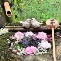 🌸 A Dreamy June Morning at Kyoto’s Hydrangea Wonderland — Yanagidani Kannon & Yanggu Temple 🌿✨