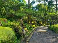 The Rainforest at Singapore Botanic Gardens – A Walk Through Ancient Nature