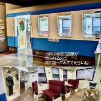 【清州】入場無料！かわいいフォトスポットがあった旧清州駅舎公園　