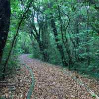 Tosashimizu Geopark: A Journey Through Time and Nature