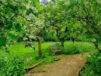 A First Visit to Hidcote – And Certainly Not the Last