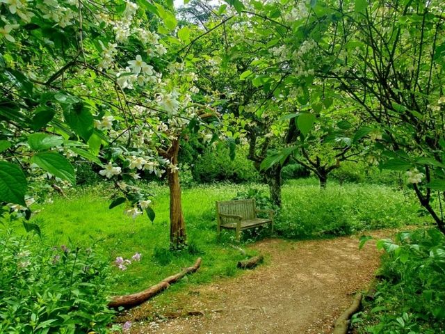 A First Visit to Hidcote – And Certainly Not the Last