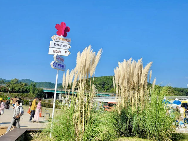 The Daegu Garden