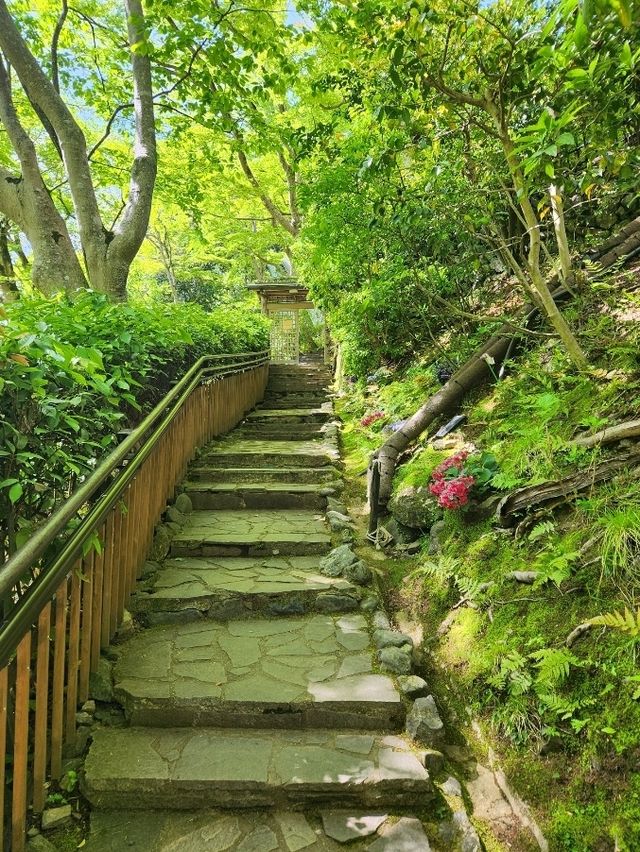 아라시야마 공원