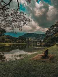 Serene Reflections and Old-World Charm at Taiping Lake