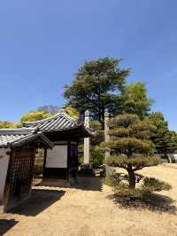 岡山｜寂靜無人的寶壽山觀龍寺 見證東密與神道分合的寺院