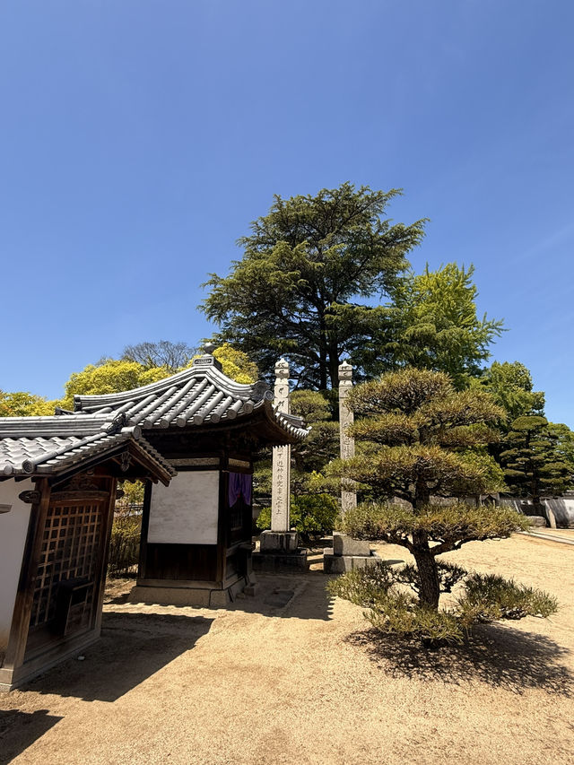 岡山｜寂靜無人的寶壽山觀龍寺 見證東密與神道分合的寺院